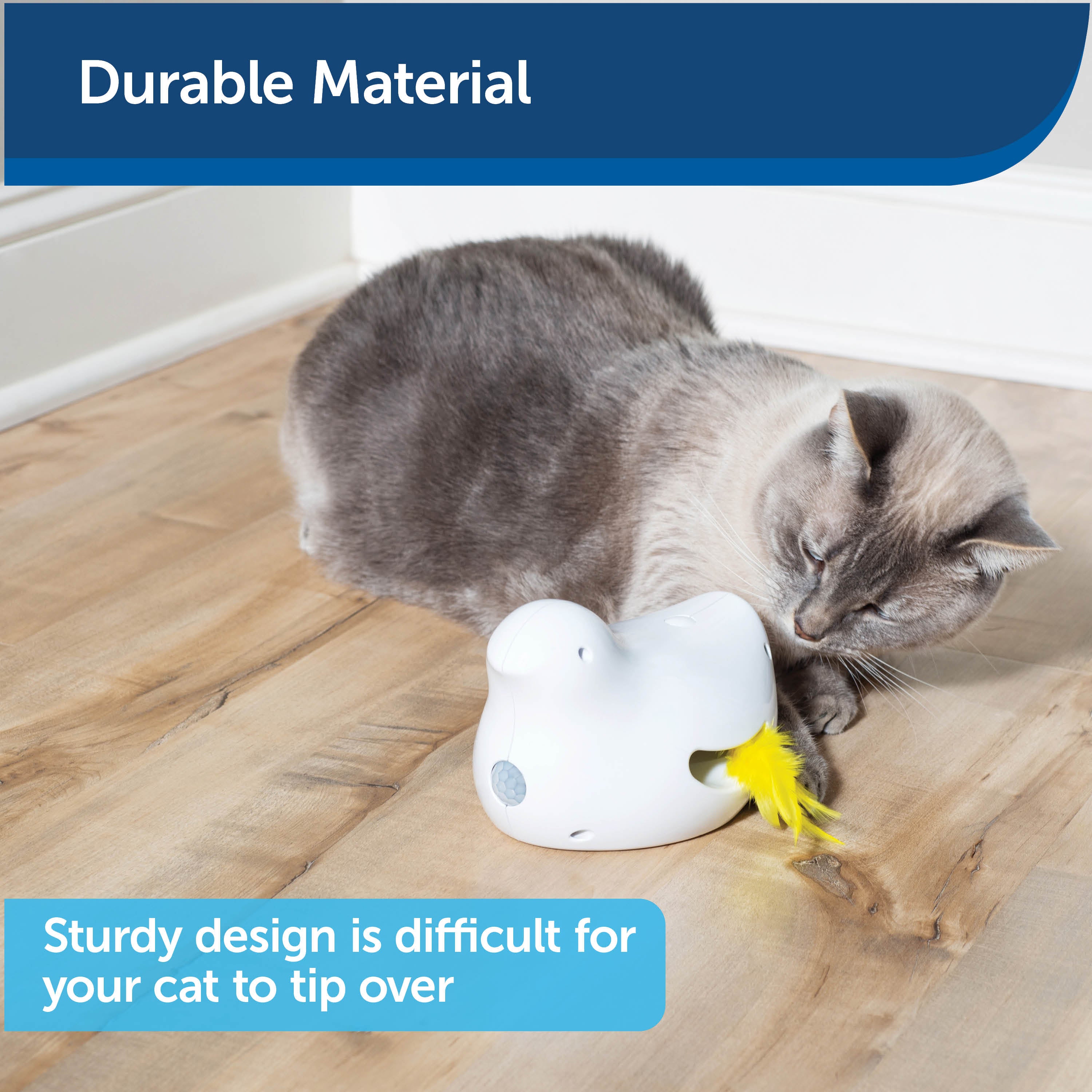 Interactive Peek a Bird™ Electronic Cat Toy - Fun & Engaging PetSafe® Cat Teaser for Playtime & Exercise - Perfect for Indoor Cats & Boredom Relief