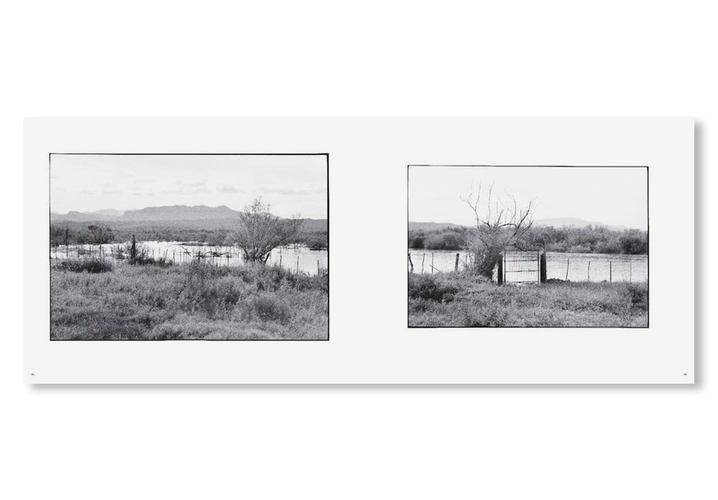 AL RÍO / TO THE RIVER by Zoe Leonard - Contemporary Art Photography Book for Collectors & Art Lovers - Perfect for Home Decor, Gallery Displays & Art Study