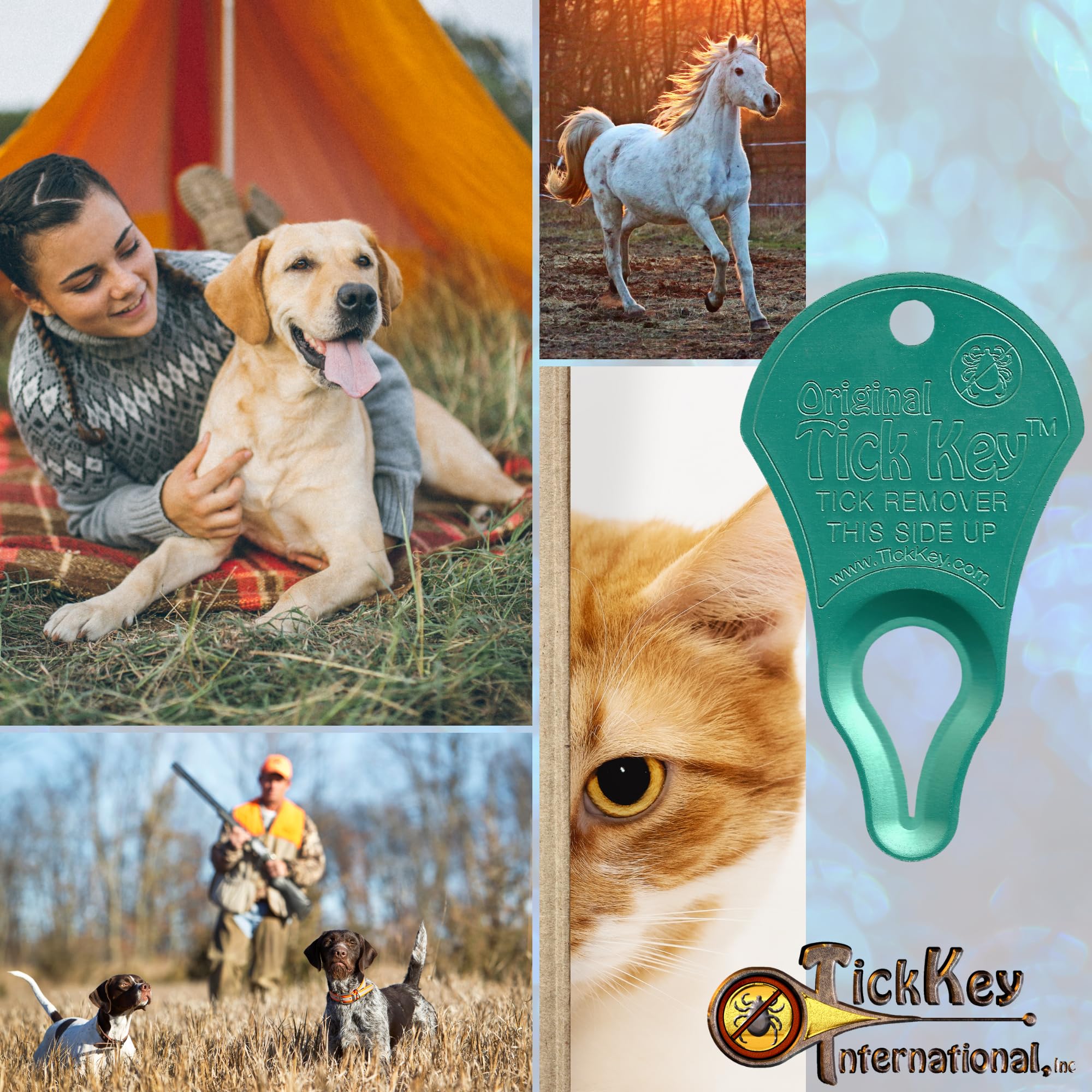 Original Tick Key - Safe Portable Tick Removal Tool for Outdoor Adventures