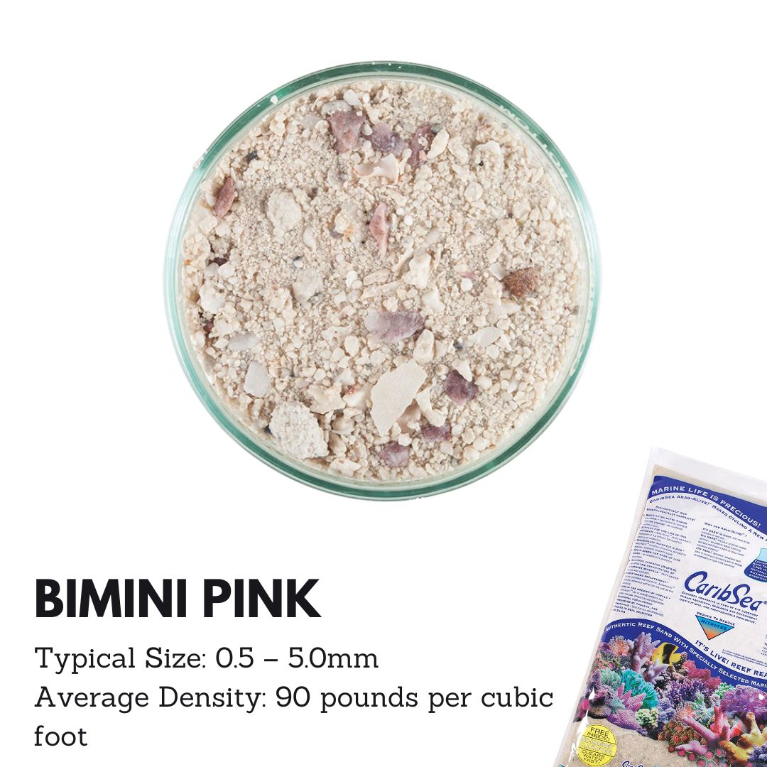 Caribsea Aragalive Bimini Pink Live Sand - 10/20lbs for Saltwater Aquariums | Natural Marine Substrate for Reef Tanks & Coral Growth