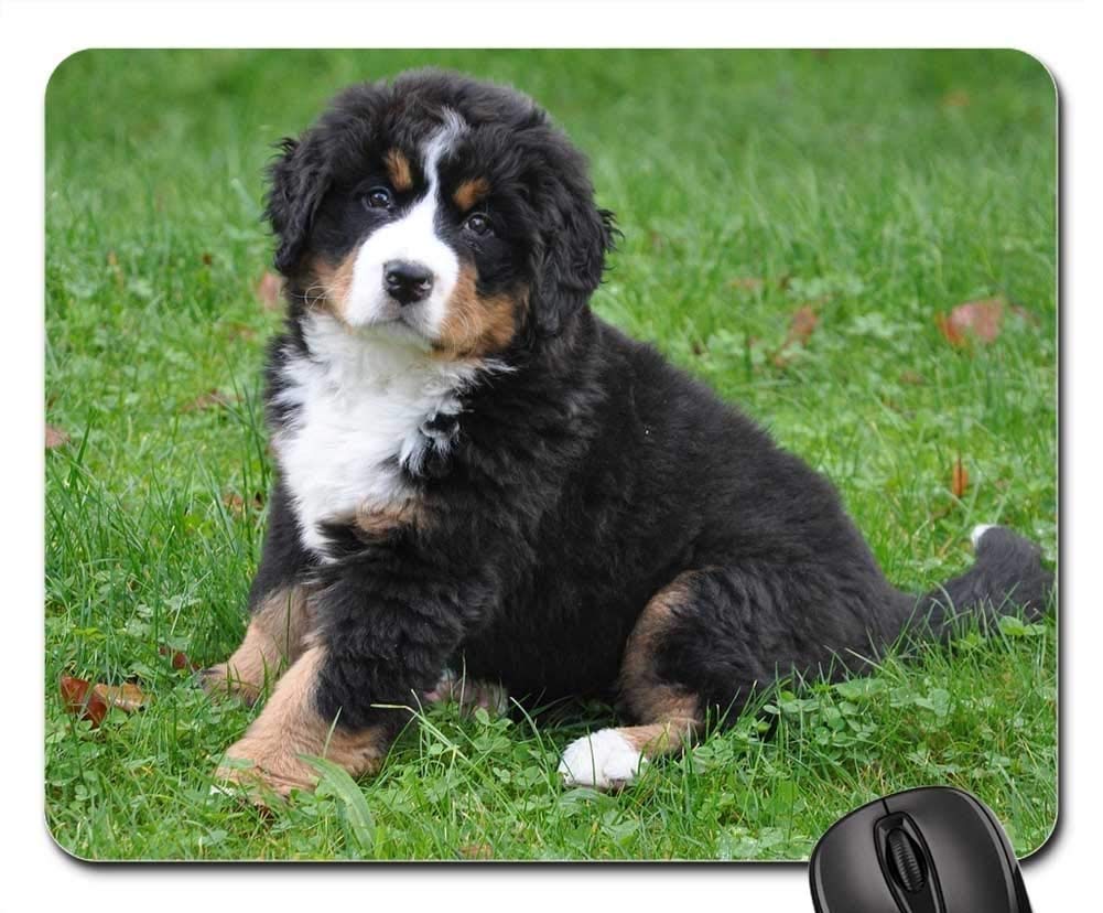 Premium Gaming Mouse Pad with Bernese Mountain Dog Design - Large Non-Slip Mouse Mat for PC, Laptop & Office Use - Green Animal Themed Computer Accessory for Gamers & Pet Lovers