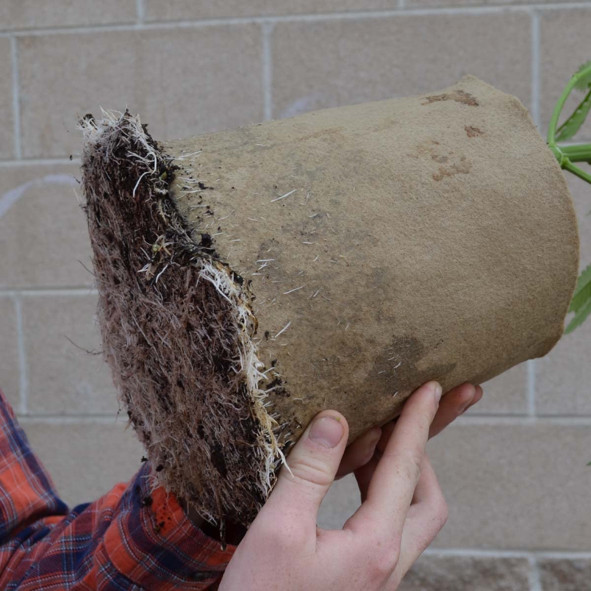 1-Gallon Breathable Grow Bags - 20 Pack Bottomless Fabric Pots for Indoor/Outdoor Plants - Promotes Healthier Roots - Perfect for Vegetables, Herbs, Flowers & Container Gardening