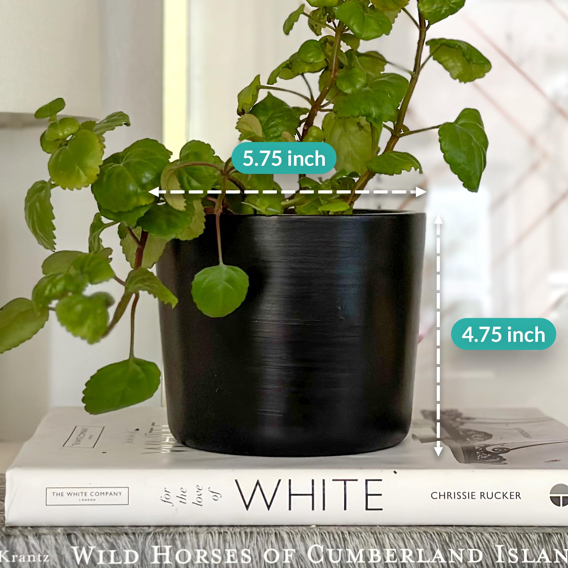 6 Inch Black Ceramic Plant Pot for Indoor Plants - Snake Plant, Succulents, Herbs | Modern Minimalist Planter with Drainage Hole for Home, Office, Garden Decor