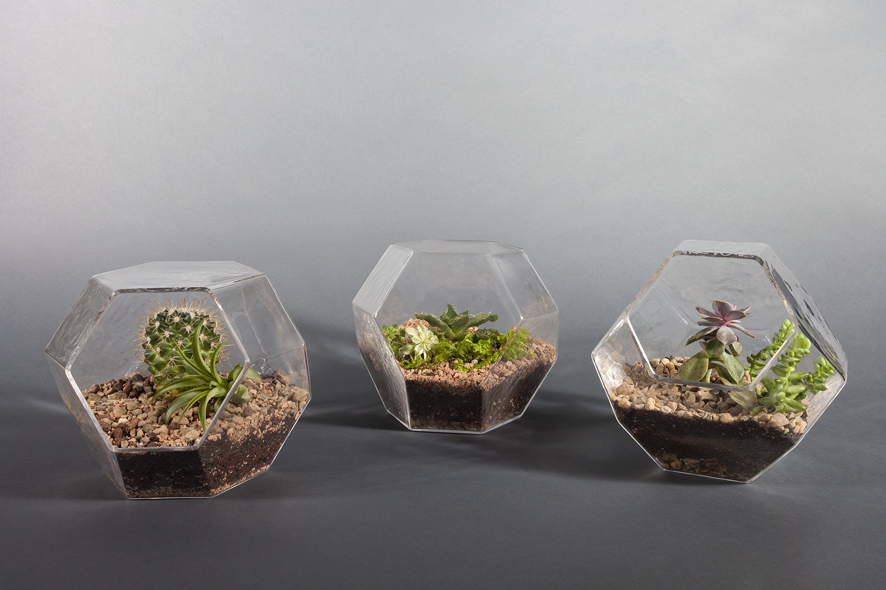 Hand-Blown Glass Geodesic Terrarium for Succulents, Air Plants & Home Decor - Unique Geometric Glass Planter for Indoor Plants, Wedding Centerpieces & Office Decor