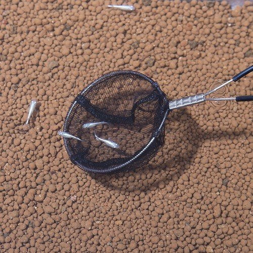 SUDO S 5823 Extra Small Round Fish Net - Perfect for Aquarium, Fish Tank, and Small Pond Use