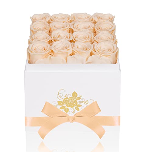 Perfectione Luxury Preserved Real Roses in Gift Box - Lasts Up to 3 Years | Buttermilk Color | Perfect Mother's Day, Valentine's Day & Birthday Gift for Her | Romantic Home Decor & Wedding Centerpiece