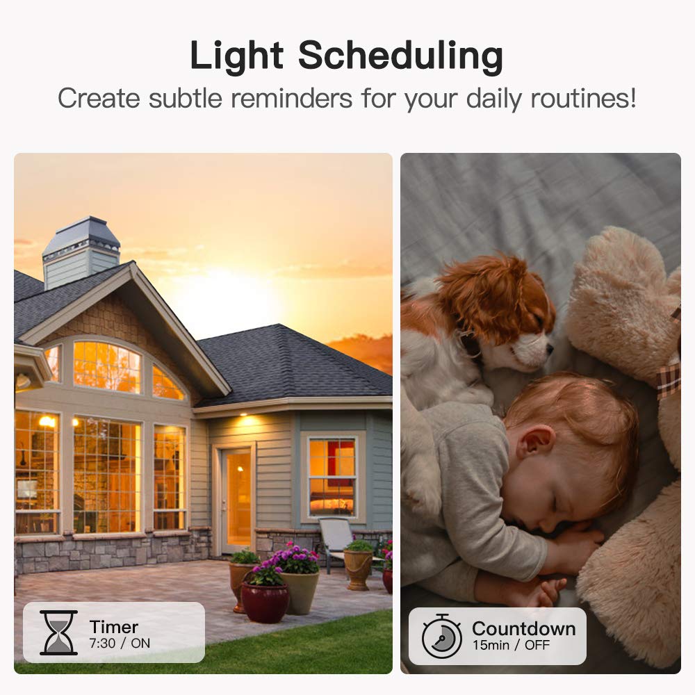 TREATLIFE Smart Light Switch 4-Pack - Single Pole WiFi Switch Compatible with Alexa, Google Home & SmartThings | 2.4GHz Timer Control | Neutral Wire Required | No Hub Needed | FCC Certified | Perfect for Home Automation & Smart Lighting Control