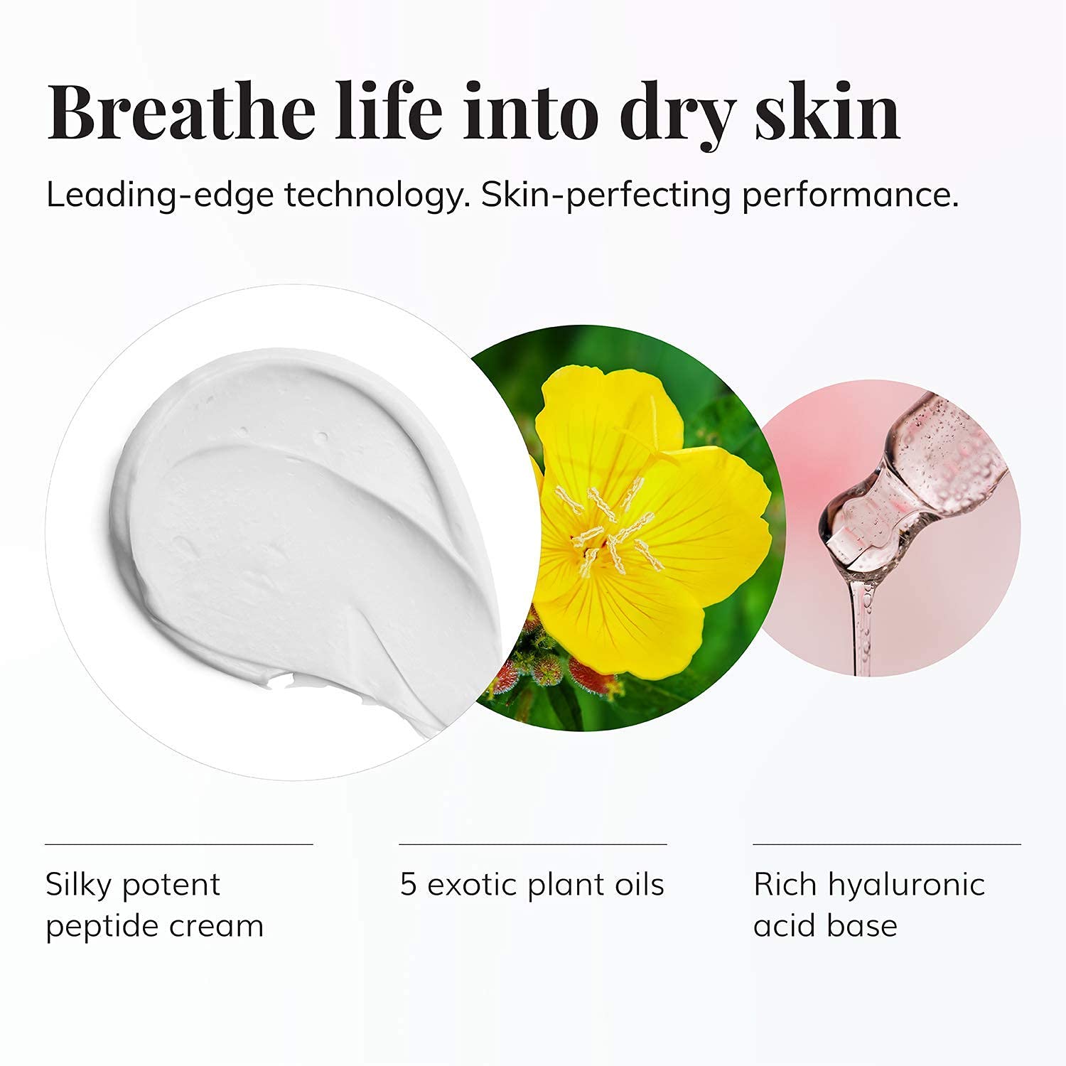 Le Mieux Luxury Skincare Set - Hyaluronic Acid Serum & Anti-Aging Cream for 24-Hour Hydration - 2-Piece Facial Moisturizing Set for Dry Skin - Perfect for Night Routine & Daily Skincare Regimen