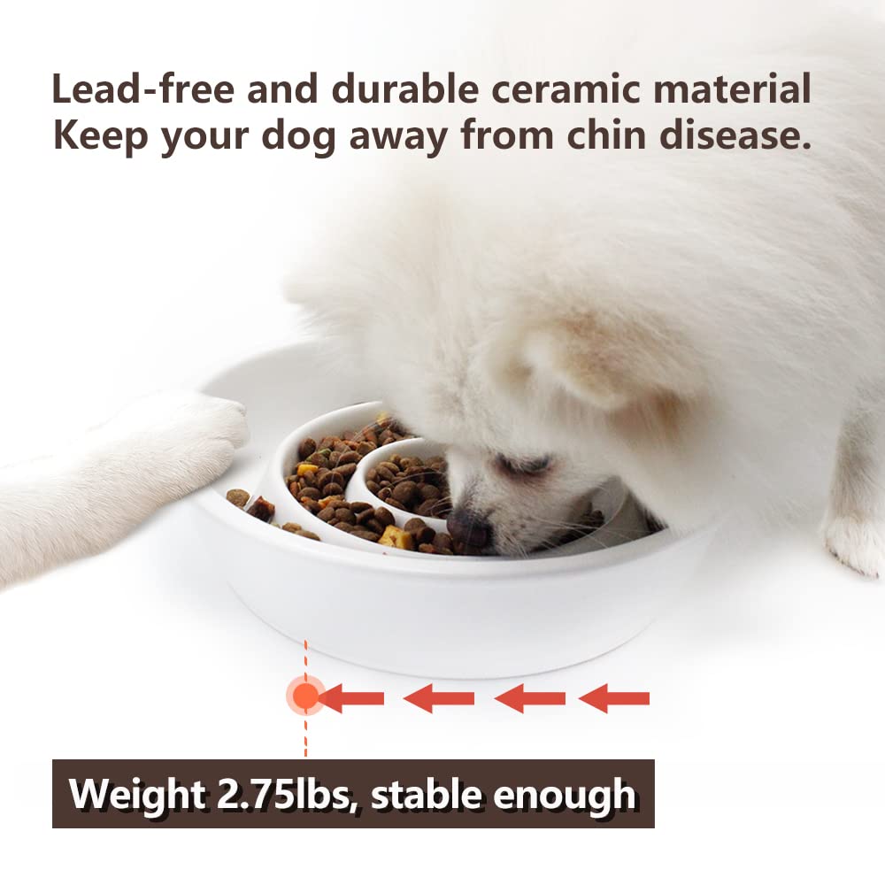 GH Ceramic Slow Feeder Dog Bowl for Small & Medium Dogs - 3 Cup Capacity with 2 Free Flying Disc Toys - Anti-Choke Design for Fast Eaters - Perfect for Mealtime Fun & Outdoor Play (White)