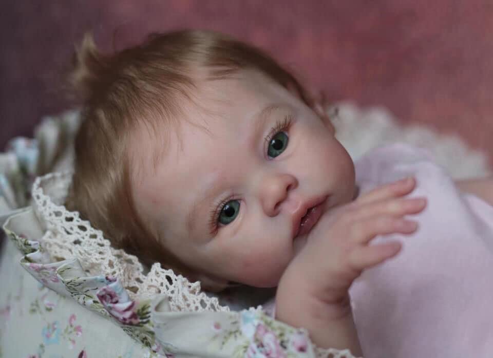 19 Inch Realistic Reborn Baby Doll - Lifelike Silicone Newborn Girl with Weighted Soft Cloth Body & Rooted Hair | Handmade Collectible Doll for Nursery Decor, Photography Props, Gift Giving and Therapy Use