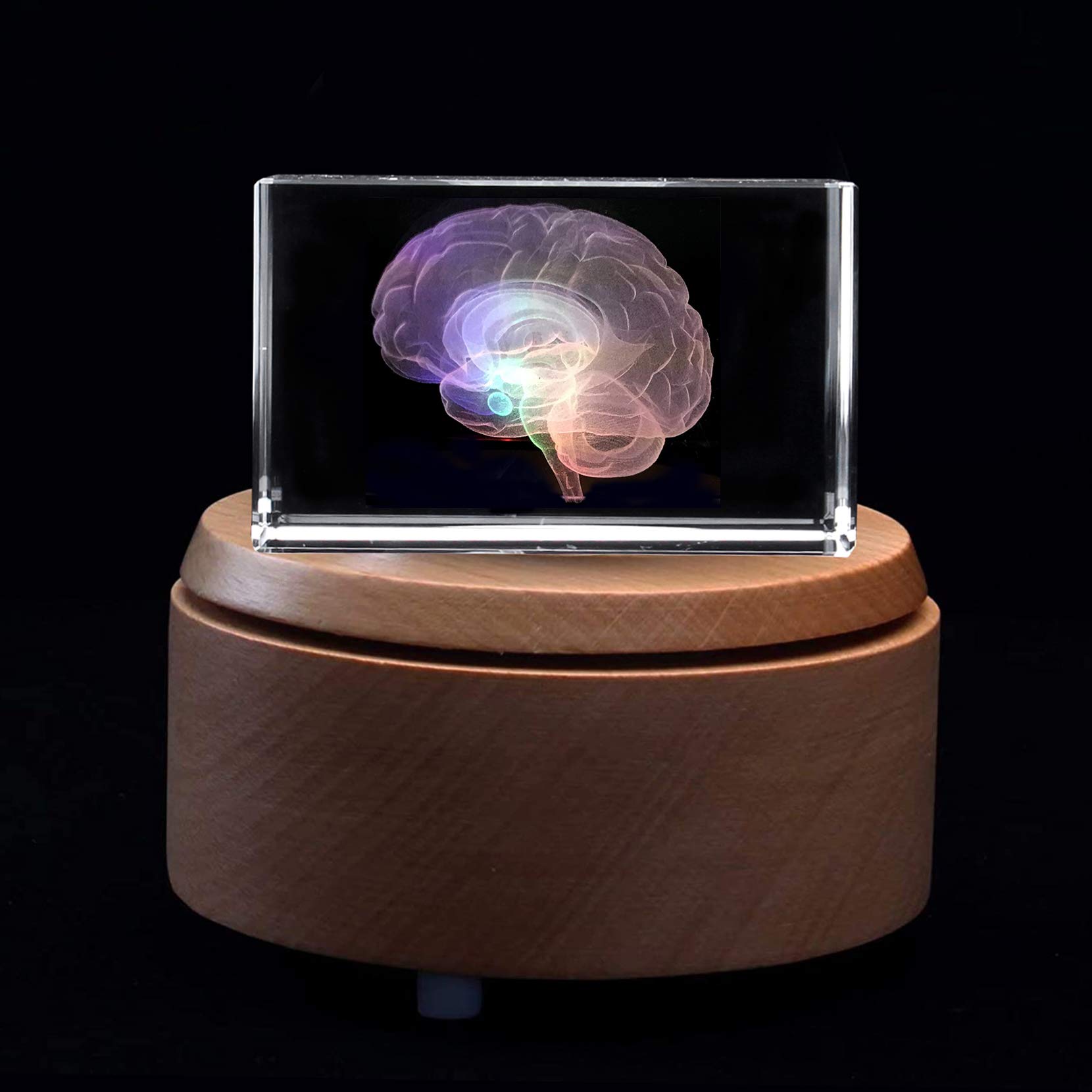 3D Human Brain Anatomical Model - Laser Etched Crystal Glass Cube Paperweight with LED Base | Science Gift for Doctors, Students & Anatomy Enthusiasts | Perfect for Office Desk, Medical Display & Educational Use