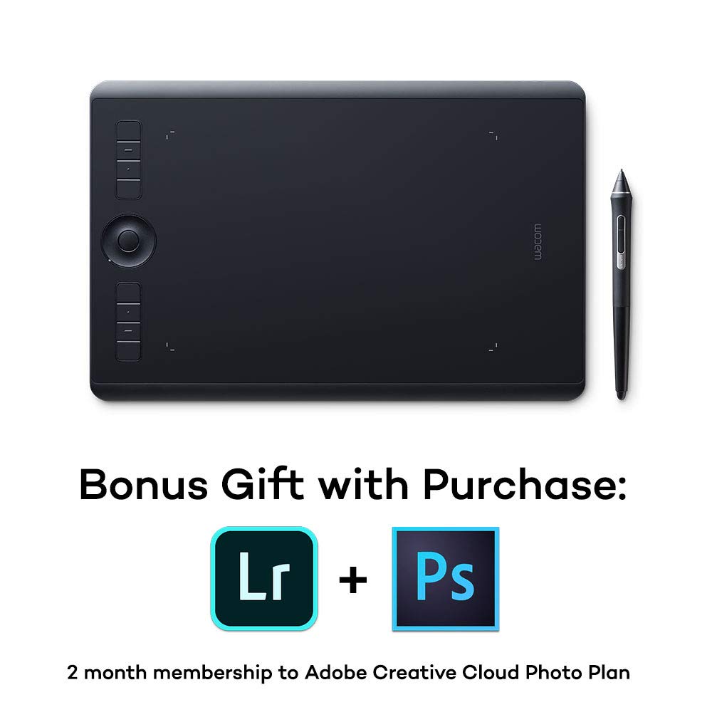 Wacom Intuos Pro Digital Graphic Drawing Tablet with Soft Case - Professional Drawing Pad for Artists, Designers & Illustrators - Perfect for Digital Art, Animation & Photo Editing