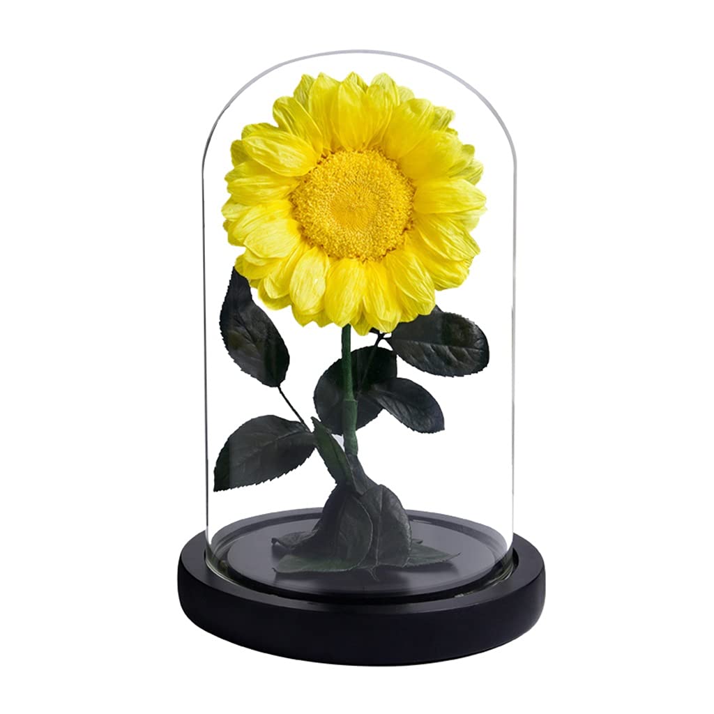 Preserved Sunflowers in Glass Dome with LED Light - Eternal Floral Home Decor for Valentine's Day, Anniversary, Birthday & Christmas Gifts | Perfect for Living Room, Bedroom, Office & Wedding Centerpieces