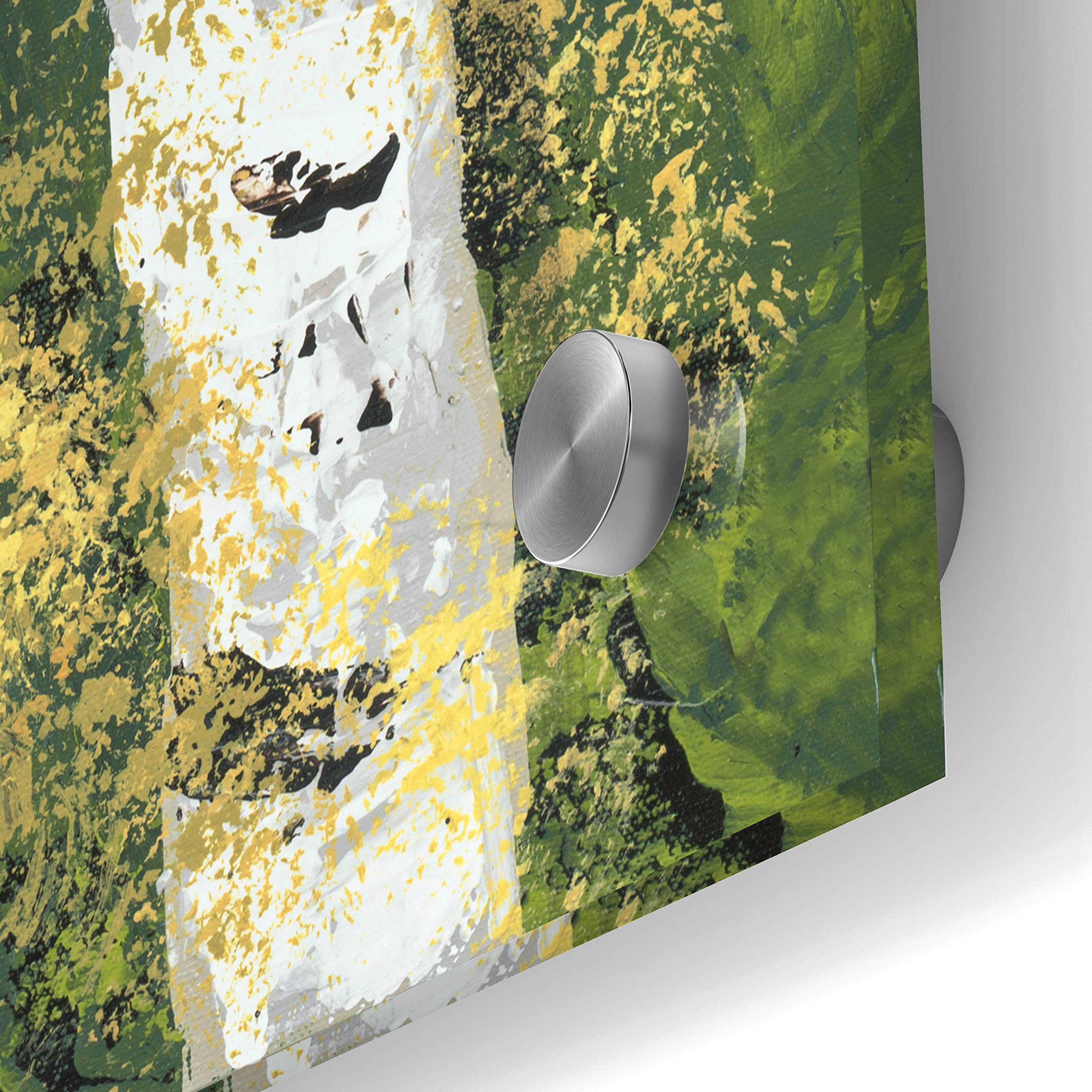 Epic Art 'Birch Treeline III' by Jade Reynolds - 24x36 Inch Acrylic Glass Wall Art Painting - Modern Home Decor for Living Room, Bedroom & Office