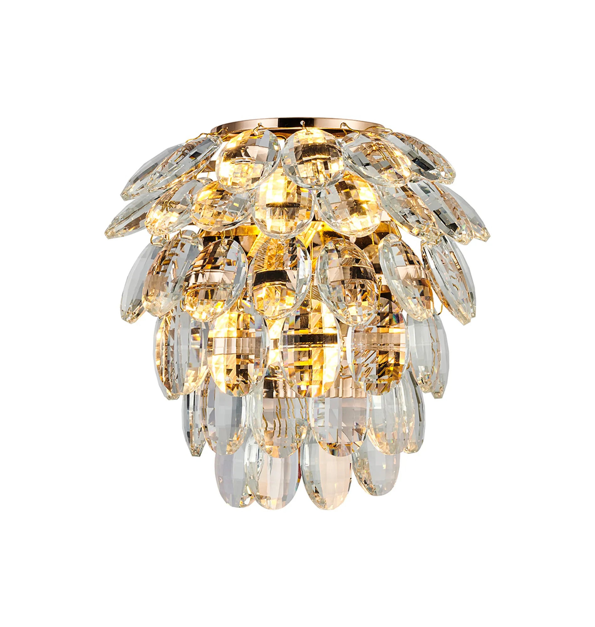 French Gold & Clear
