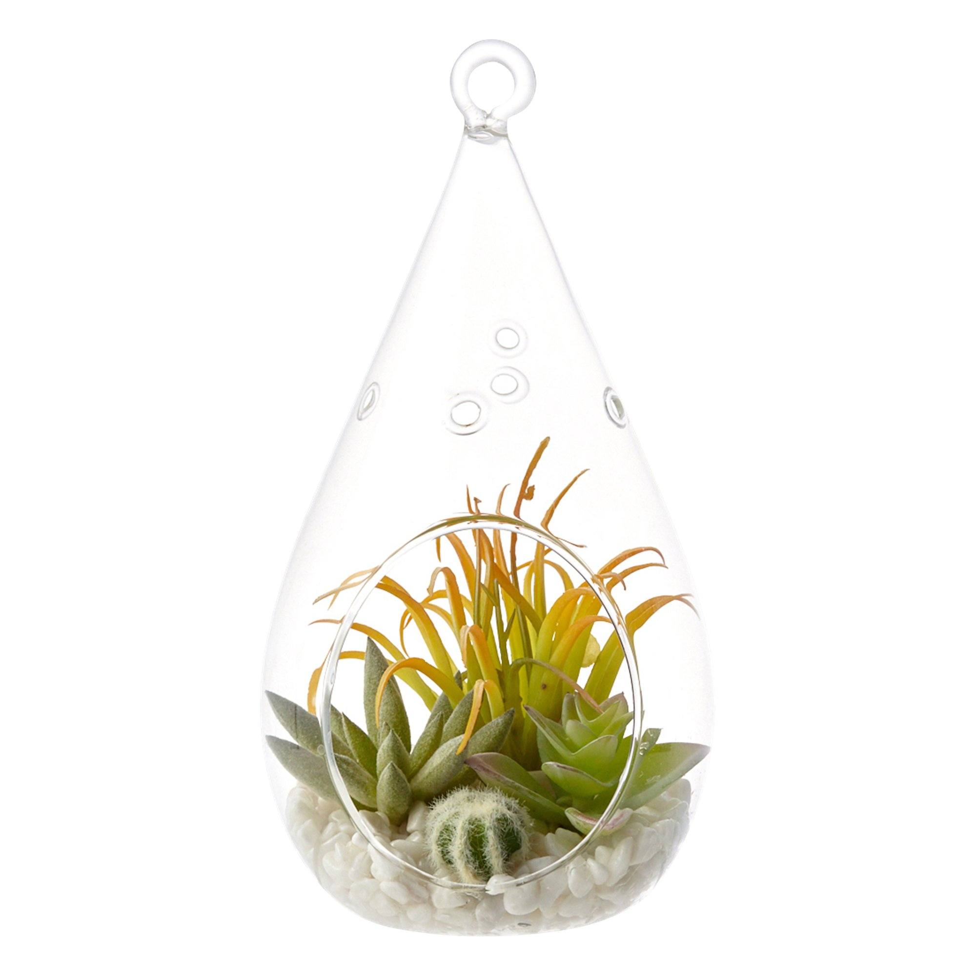 Stylish Caro Succulents Pot Drop - Modern Ceramic Planters for Succulents & Small Plants - Perfect for Home, Office, and Garden Decor