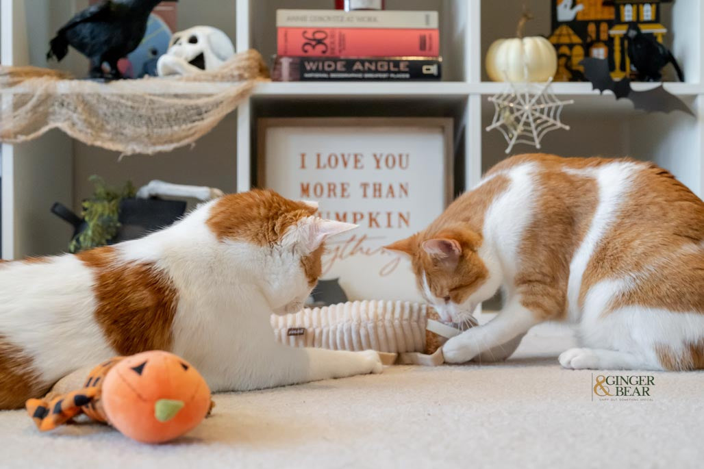 P.L.A.Y. Feline Frenzy Catnip Kicker Toy Set - Mummy Shape Cat Toy with Organic Catnip for Indoor Cats - Perfect for Playtime & Stress Relief