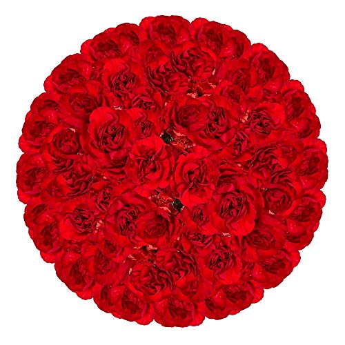 GlobalRose 160 Stems Fresh Cut Burgundy Spray Carnations - 640 Blooms | Premium Fresh Flowers for Birthdays, Weddings, Anniversaries & Home Decor | Long-Lasting Floral Arrangements for Centerpieces, Bouquets & Gift Giving