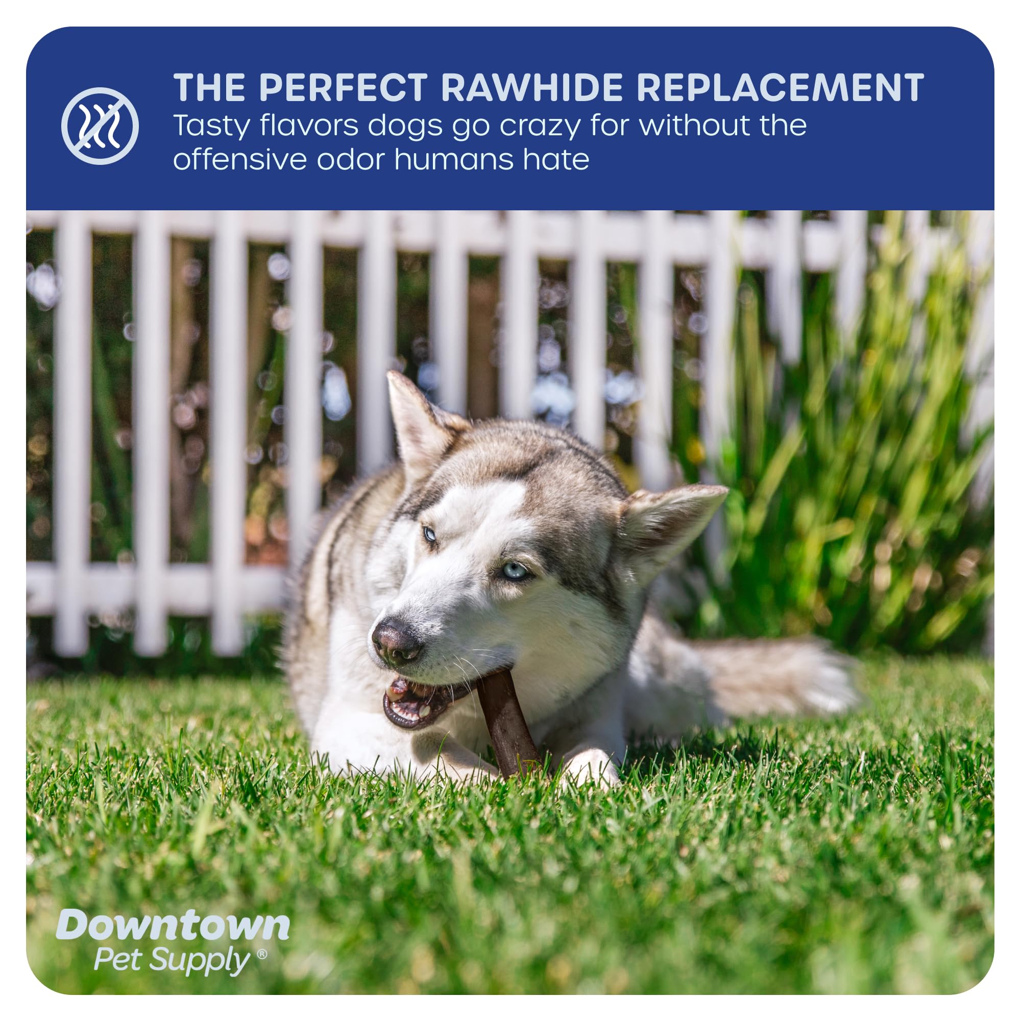 Premium 10-Pack Beef Collagen Sticks for Dogs - 6