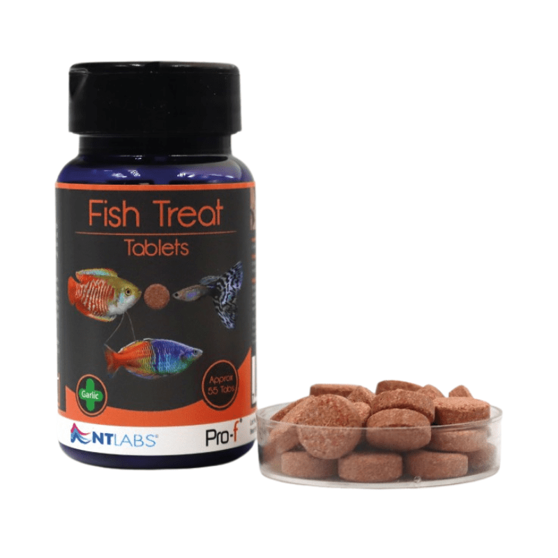 NT LABS Pro-f Fish Treats 40g - Premium Tropical & Marine Fish Food for Health & Color Enhancement | Ideal for Aquarium, Pond & Fish Tank Feeding