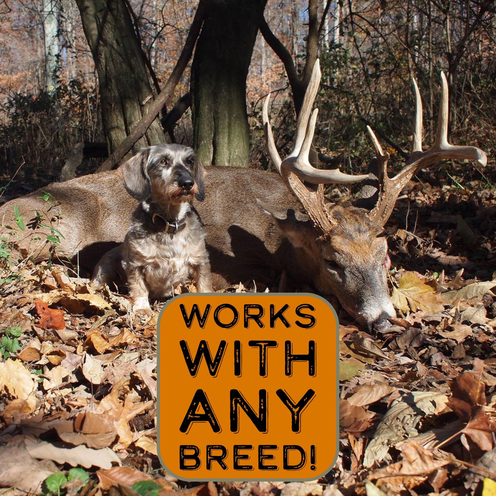 RealHide Deer Hide Drag for Dog Training - Scent Tracking Tool for Hunting Dogs | Durable Hunting Dog Accessories | Dog Scent Training Kit | Perfect for Deer Hunting & Outdoor Tracking Scenarios