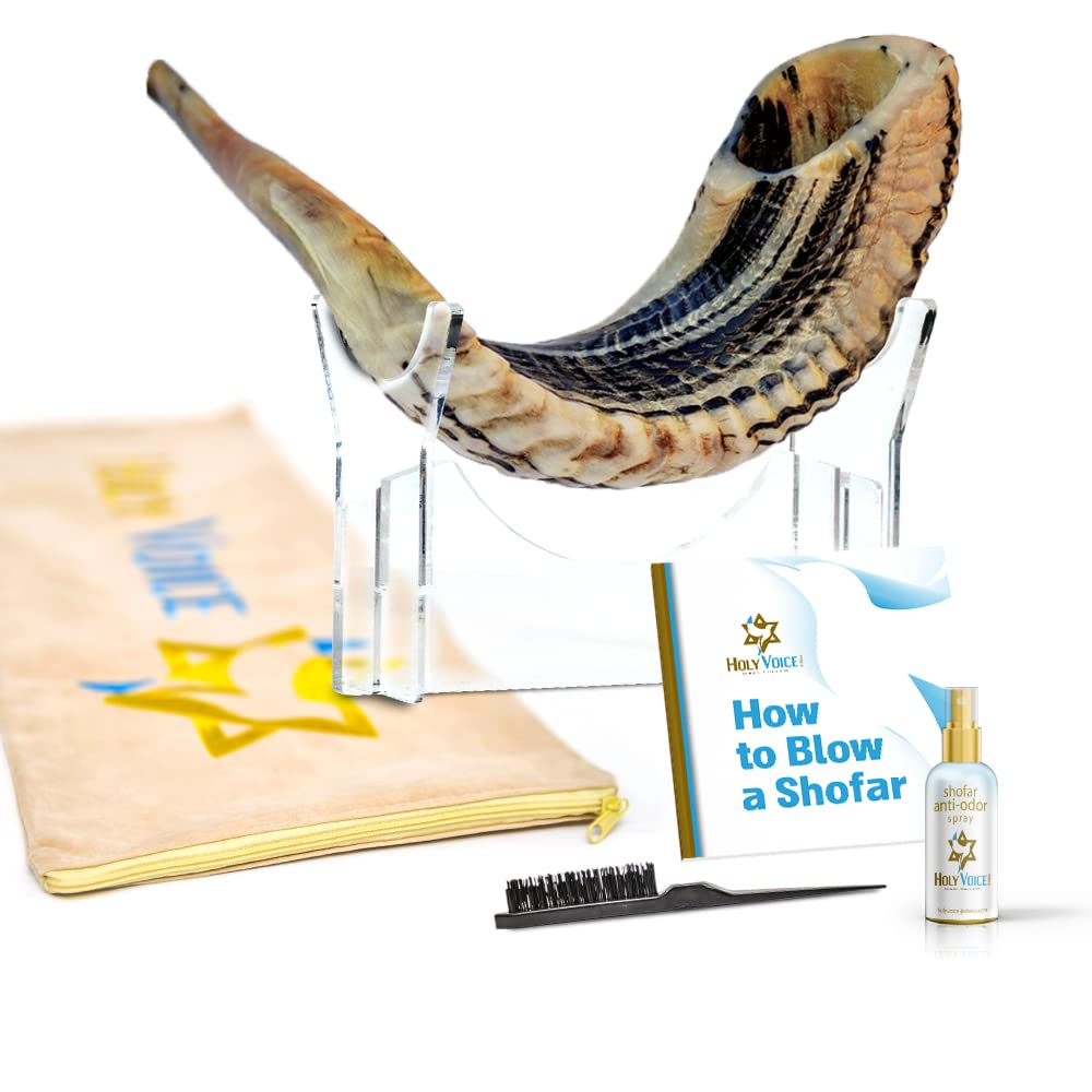 Holy Voice Handcrafted Kosher Ram Shofar from Israel 18