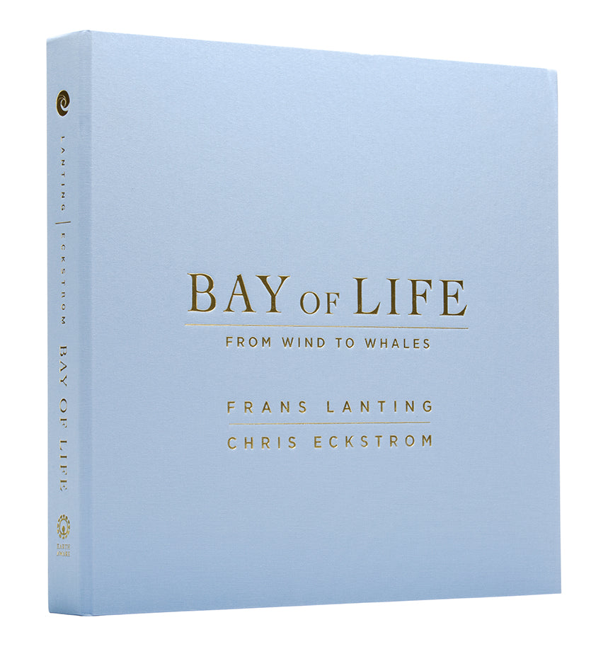 Bay of Life Collector's Edition - Limited Edition Collectible for Fans & Enthusiasts - Perfect for Display, Gifting, and Home Decor