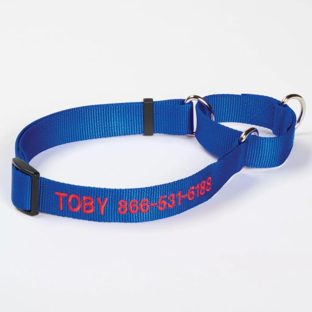 **Orvis Martingale Dog Collar - Adjustable Blue Pet Collar for Small Dogs | Perfect for Training, Walks & Everyday Use**