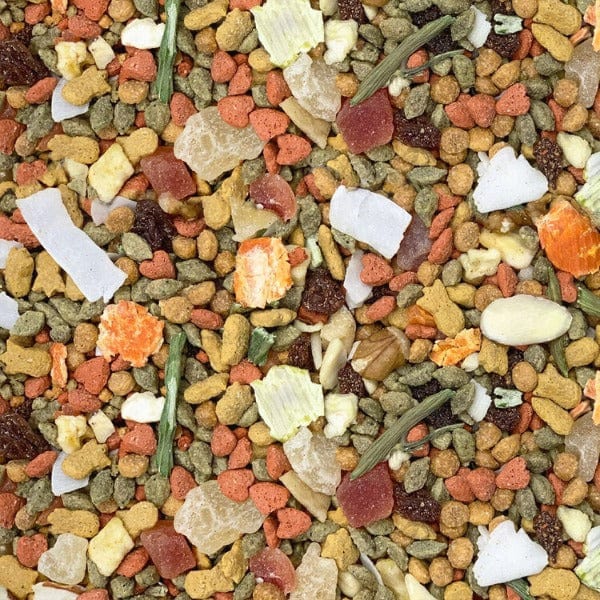 Premium Higgins InTune Harmony Conure & Cockatiel Bird Food - Natural Nutrition for Pet Parrots - Perfect for Daily Feeding & Training Treats