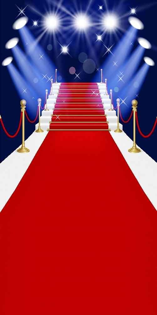 10'x20' Shiny Photography Backdrop XLX-086 for Stage & Events