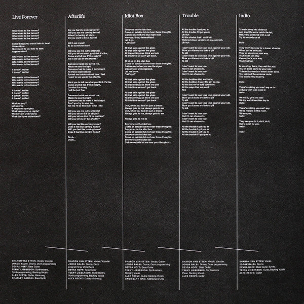 Sharon Van Etten & The Attachment Theory Vinyl LP Album (Limited Edition, Mint Condition) - Perfect for Record Collectors & Indie Music Lovers