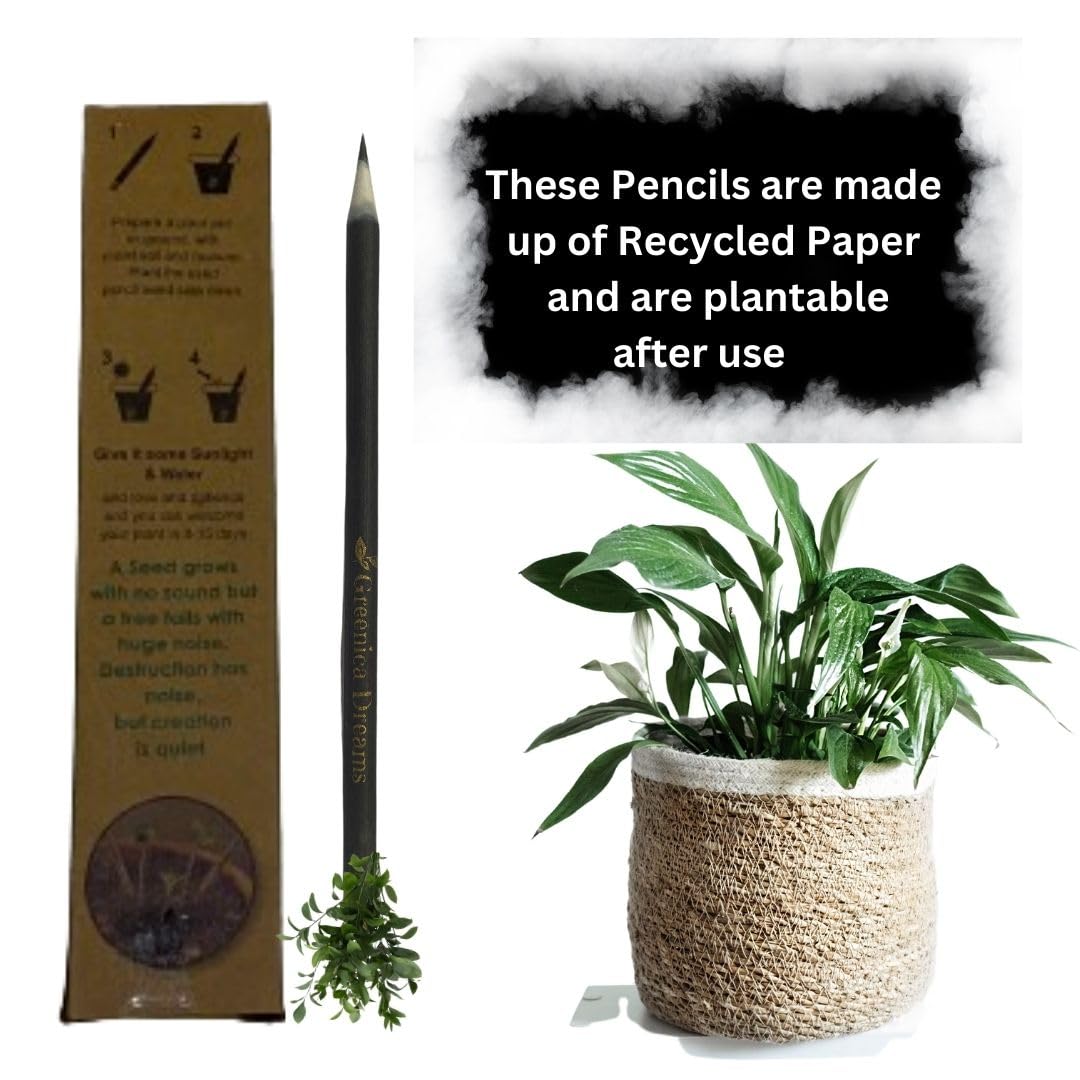 Eco-Friendly Plantable Seed Pencils - 300 Count Black Biodegradable Writing Utensils for Birthday Party Favors, Corporate Gifts & Office Supplies | Sustainable School & Office Use