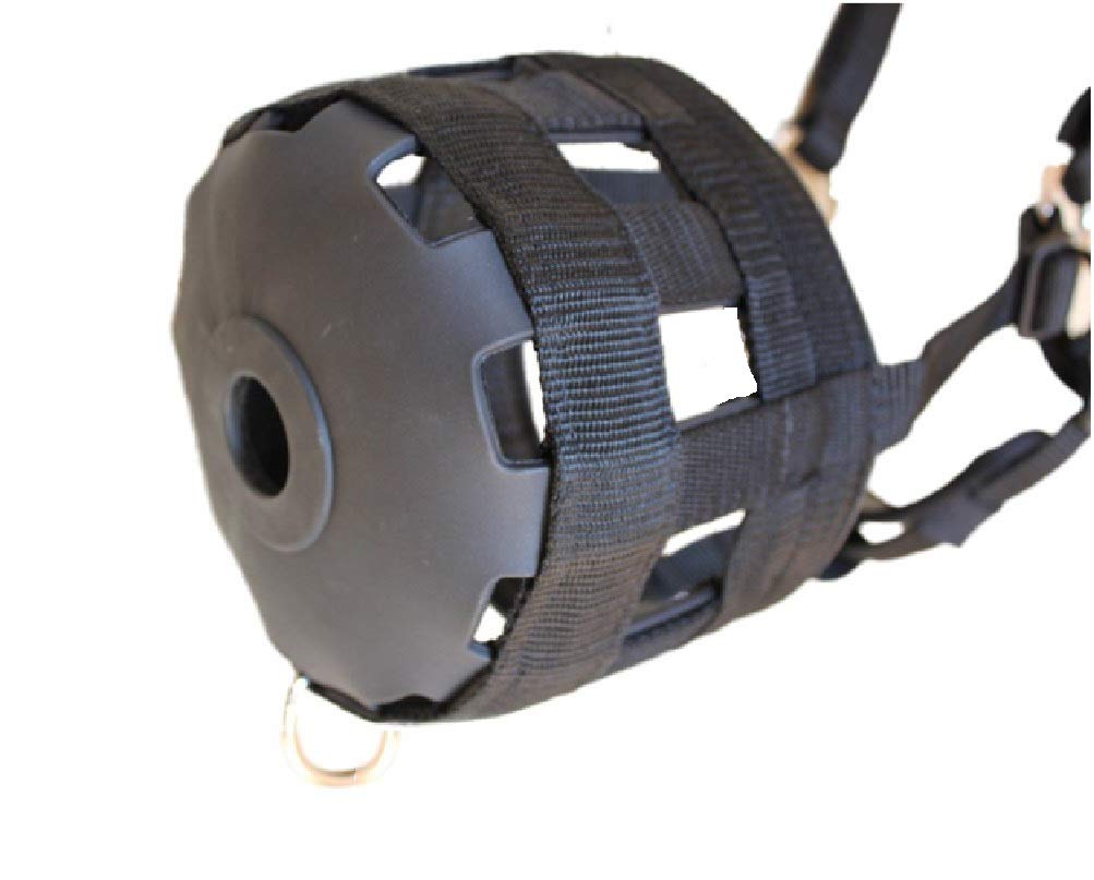 Premium Comfort Lined Grazing Muzzle for Horses & Ponies – Heavy Duty Waffle Neoprene with Soft Chin & Neck Pads – Size: Pony – Ideal for Pasture, Training & Weight Management
