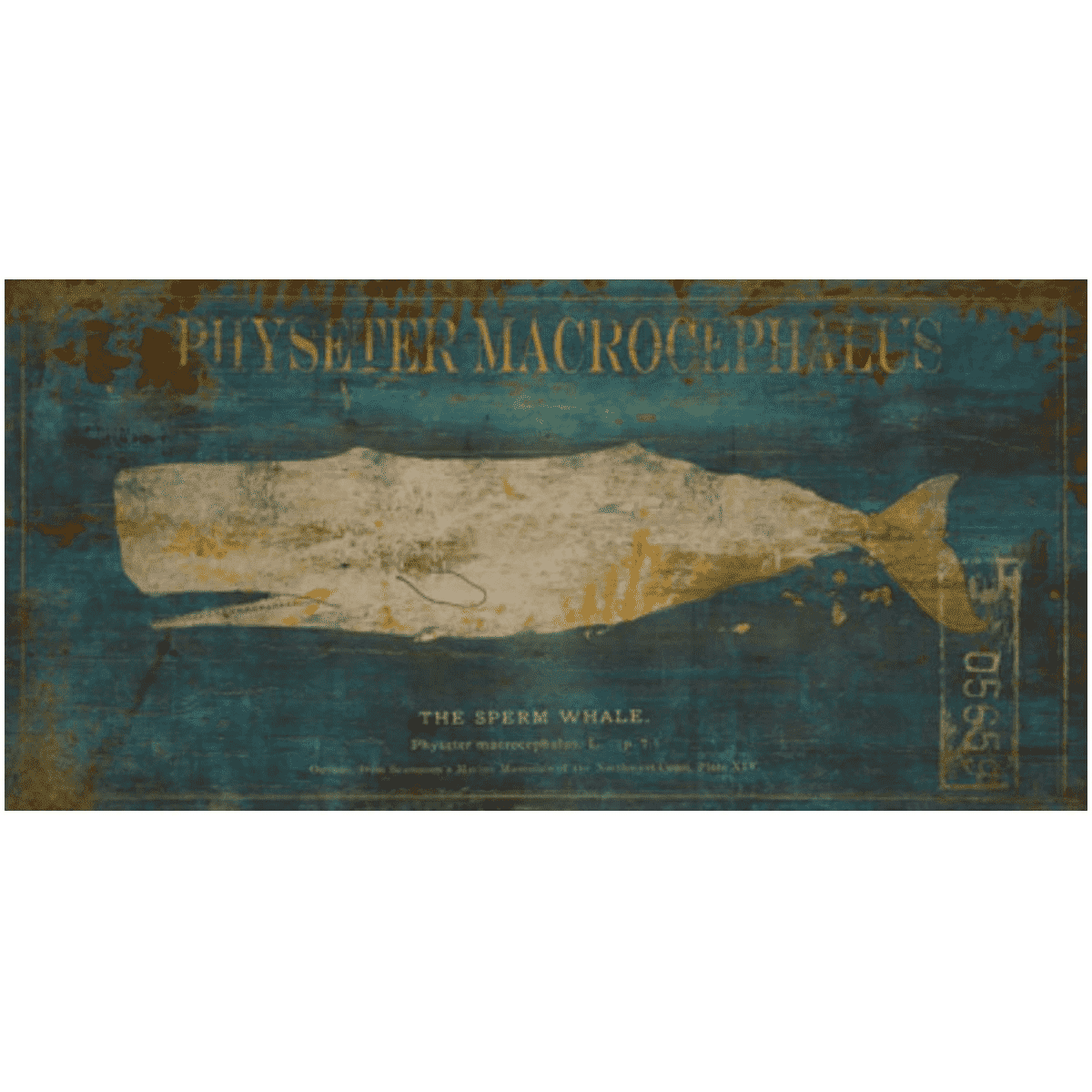 Sperm Whale Framed Giclee Print - High Quality Wall Art Decor for Living Room, Bedroom & Office