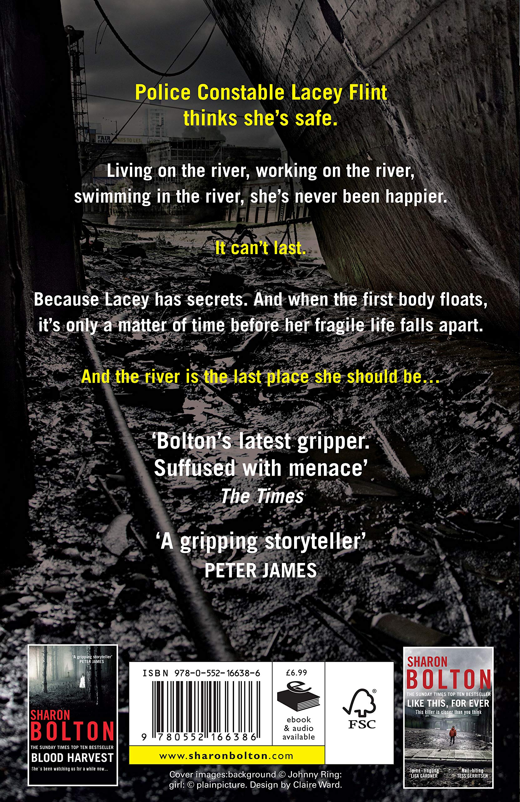A Dark and Twisted Tide: Lacey Flint Series, Book 4 - Crime Thriller Novel for Adults | Perfect for Mystery Lovers & Book Club Discussions