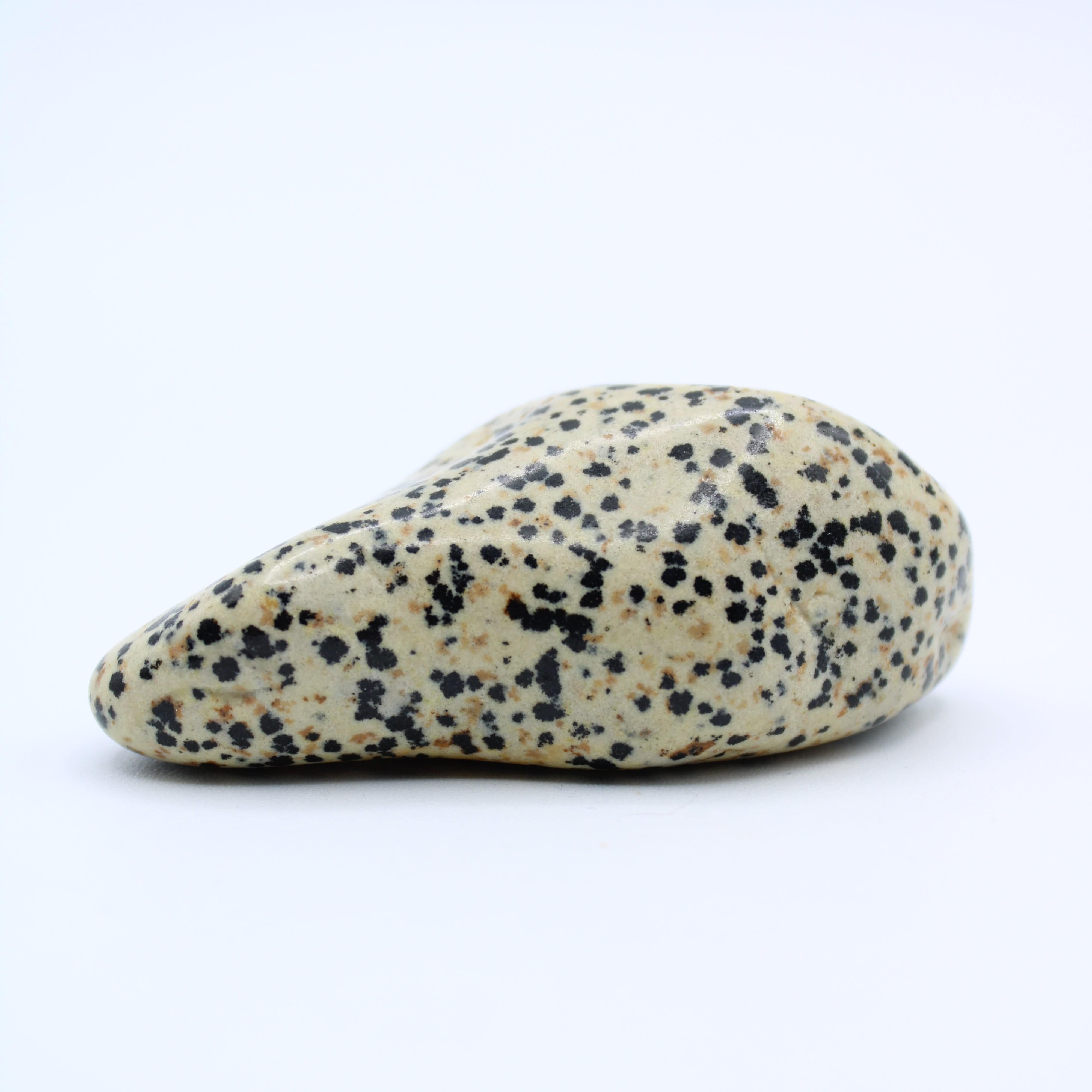 Natural Dalmatian Jasper Free Form Stone - Healing Crystal for Meditation, Home Decor & Spiritual Gifts | Perfect for Yoga, Reiki & Energy Work
