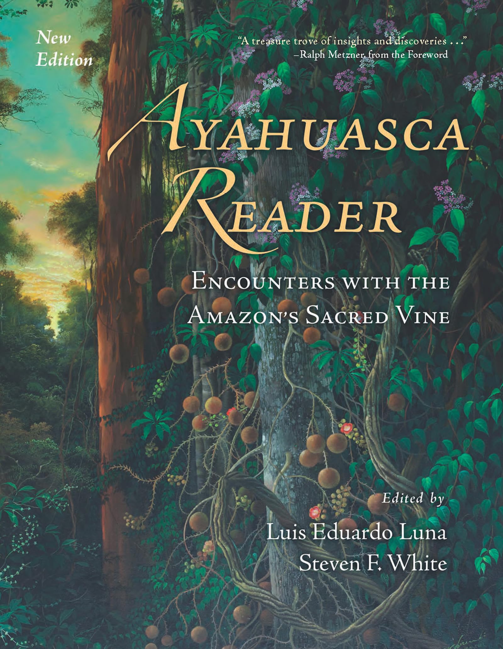 Ayahuasca Reader: Encounters with the Amazon's Sacred Vine - Spiritual Journey Guide for Shamanic Rituals & Plant Medicine Exploration