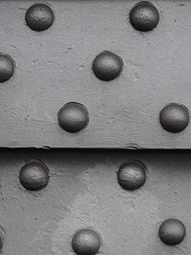 20x30 Inch Laminated Metal Wall Poster with Iron Rivet Design - Vibrant Colors & Sharp Imagery for Home Decor - Perfect for Living Room, Bedroom or Office Framing