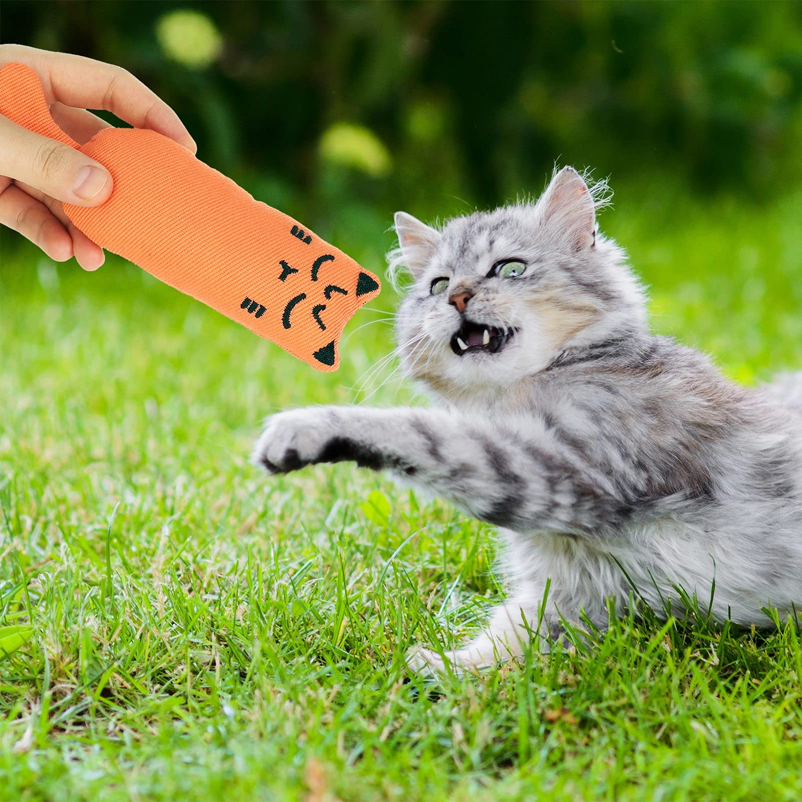 ADAKEL 5-Piece Catnip Toys for Kittens - Natural Cat Chew Toys for Dental Care & Playtime - Interactive Cat Toys for Indoor Cats, Stress Relief & Teething Kittens (Perfect for Playtime, Training & Bonding)