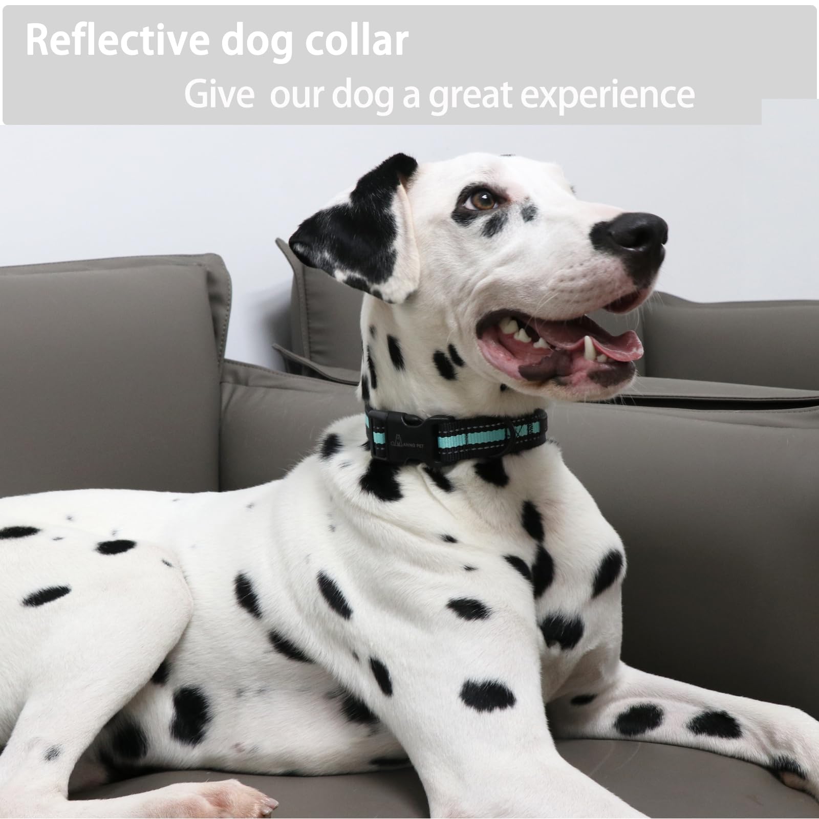 ARING PET Reflective Dog Collar - Adjustable Green Nylon Collar for Medium Dogs with Quick Release Buckle | Lightweight & Durable for Night Walks, Training & Outdoor Adventures