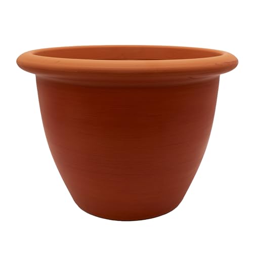 Sunset Terra Cotta
