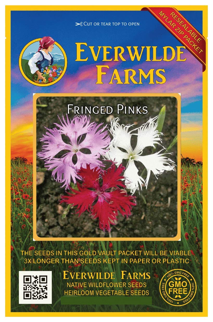 Everwilde Farms - 1 Oz Fringed Pinks Wildflower Seeds - Gold Vault Packaging - Perfect for Home Gardens, Landscaping & Pollinator-Friendly Planting