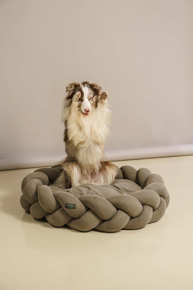 Premium Orthopedic Dog Bed - Pony Kolosony Khaki - Comfortable & Supportive Pet Bed for Small, Medium & Large Dogs - Perfect for Home, Crate & Travel Use