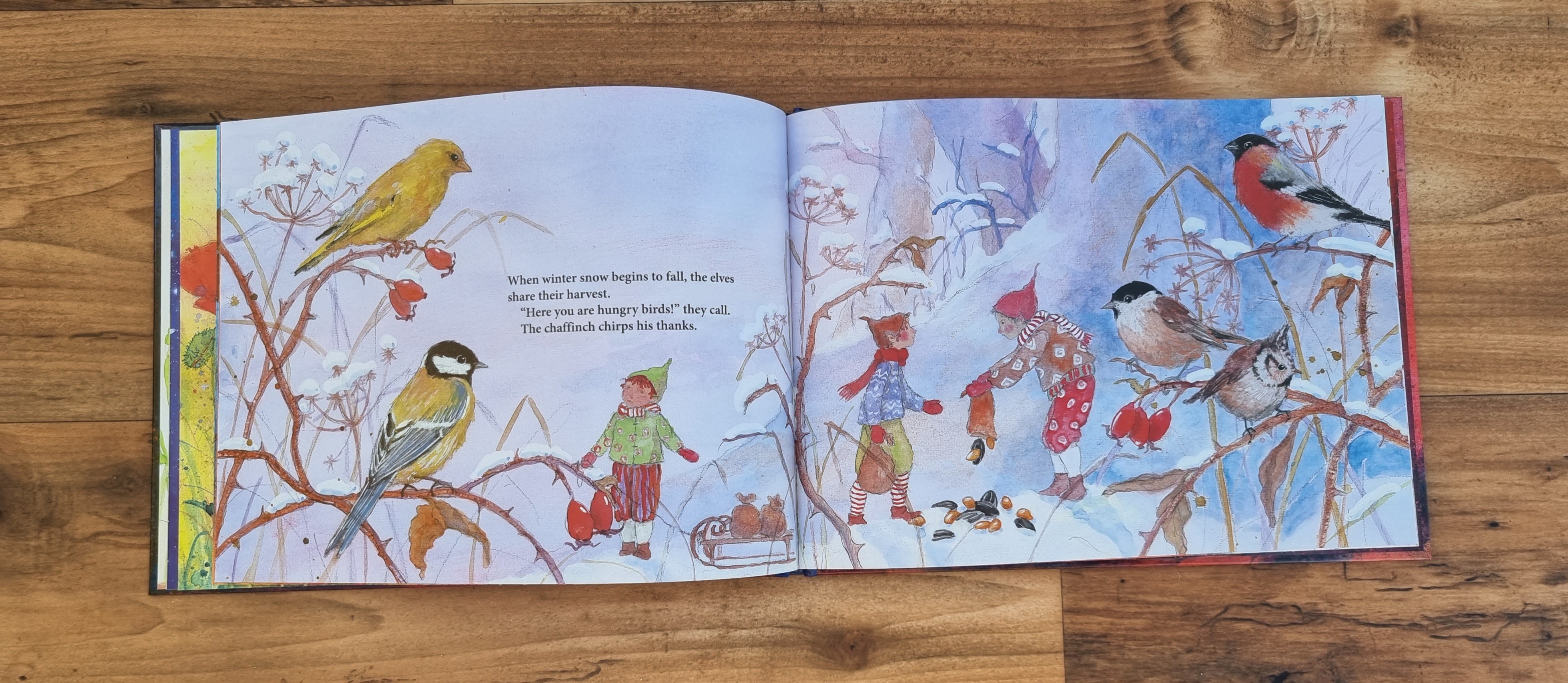 Enchanted Fairy Tale Book: In the Land of Elves by Daniela Drescher - Perfect for Kids' Bedtime Stories & Fantasy Book Collections