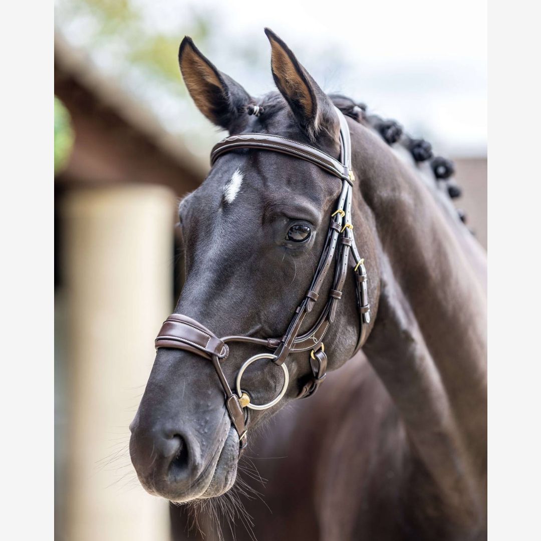 LeMieux Kudos Clear Arc Bridle - Premium English Riding Bridle for Dressage & Show Jumping - Perfect for Competition & Training