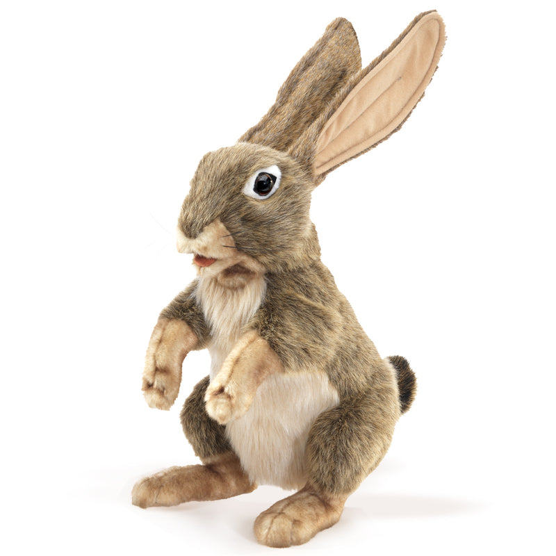 Jack Rabbit Hand Puppet by Folkmanis - Realistic & Interactive Stuffed Animal Toy for Kids, Storytelling, and Educational Play