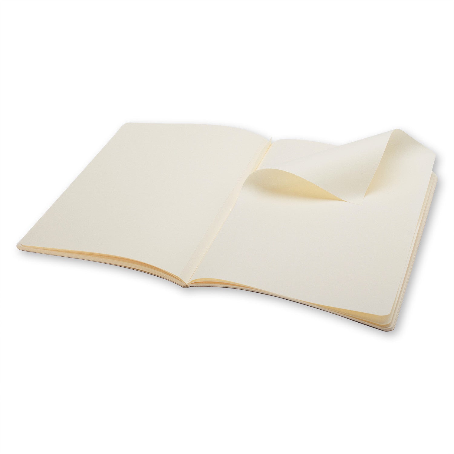 Premium Moleskine Volant Plain Notebook Set of 2 - Large Size (5