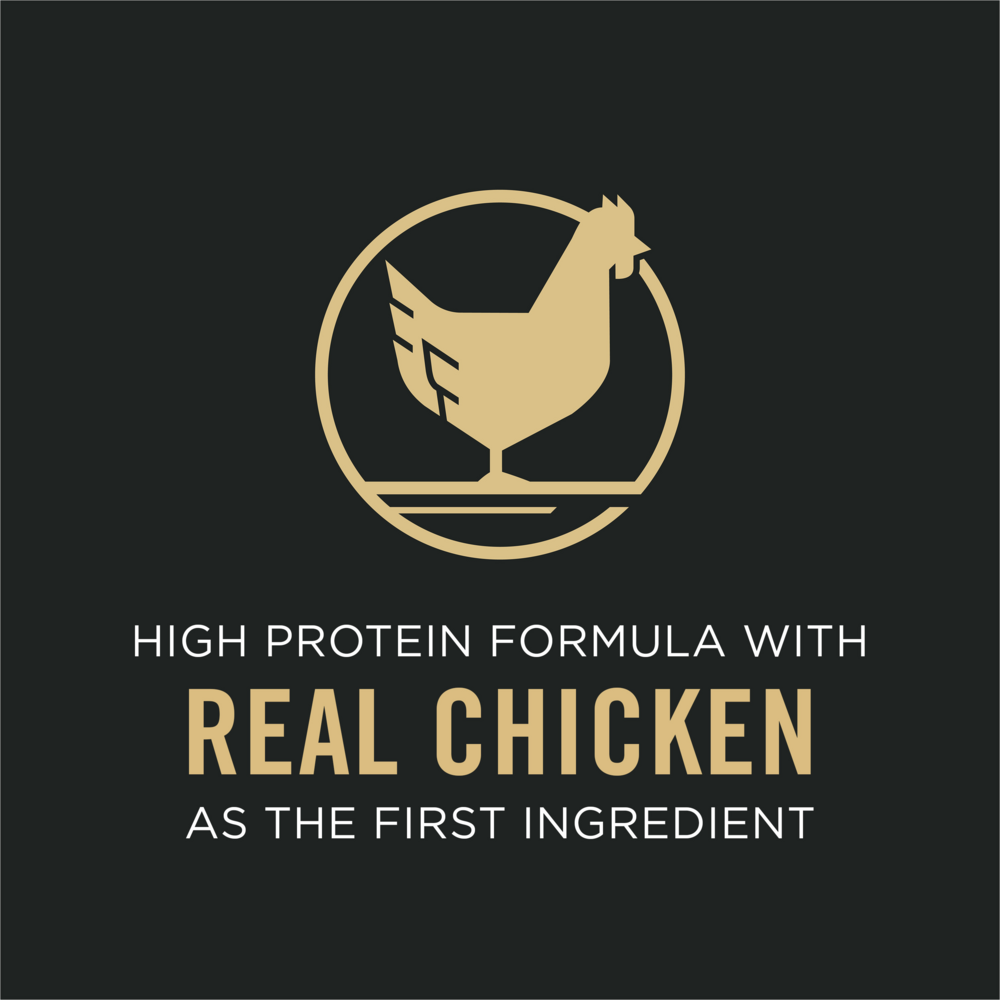 Purina Pro Plan Bright Mind Adult 7+ Chicken & Rice Formula Dry Dog Food - Senior Dog Nutrition for Cognitive Health & Vitality - Perfect for Aging Dogs with Reduced Activity Levels