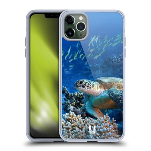 Sea Turtle Sitting On Coral Reef
