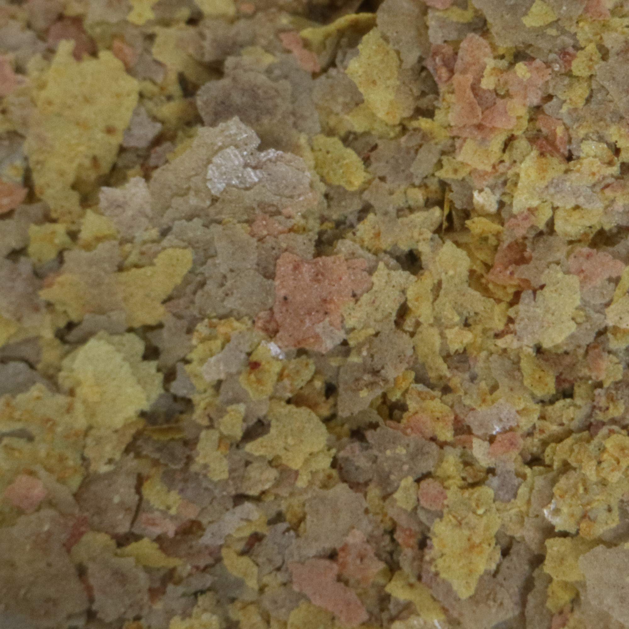 API TROPICAL GREENS FLAKES Fish Food - Premium Tropical Fish Greens Flakes for Freshwater Aquariums (1.1-Ounce Container) - Ideal for Herbivorous Fish like Goldfish, Cichlids & Angelfish